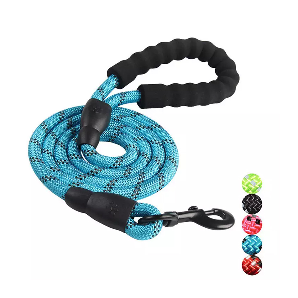 Pet collar & leashes & harness